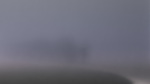 landscape in the mist 2014