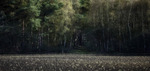 Dreams of Nature 2010