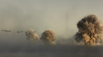 Dreams of Nature 2012