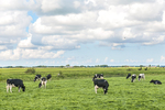 bergen, heide, rivierdalen, duinen zijn maar een paar voorbeelden van de vele landschapsvormen die er zijn. het is een uitdaging om het eigene van een landschap vast te leggen.