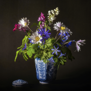 Bloemen maken je vrolijk, tenminste mij wel. Ik heb altijd wel 2 of 3 boeketten in de kamer staan, soms klein en bescheiden maar ook wel eens een weelderige bos met bijzondere exemplaren of juist een simpel veldboeket. Een bloem of een boeket mooi vastleggen doe ik graag zowel bij daglicht als bij studiolicht. 