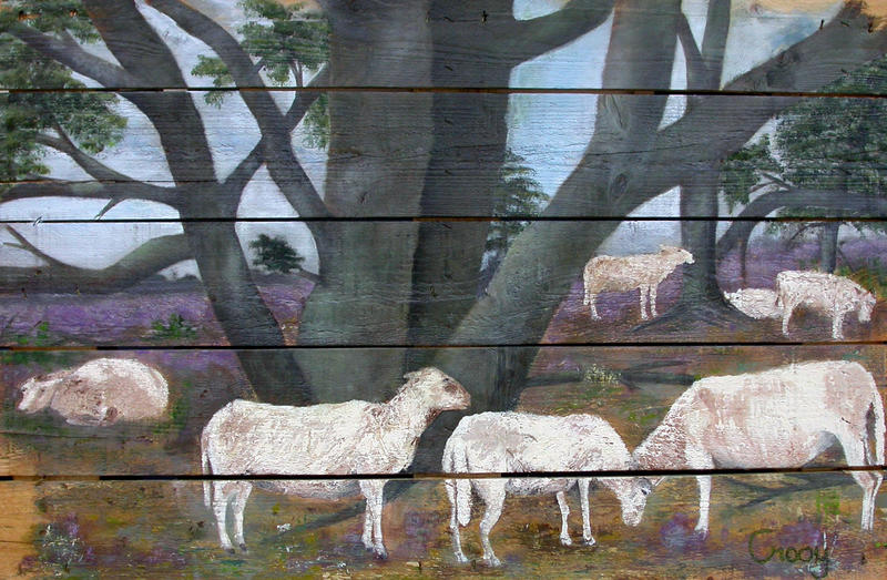 Strabrechtse Heide