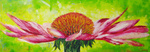 allerlei soorten bloemen weergegeven in abstract