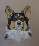Schilderijen, pastels, tekeningen van huisdieren, koeien, paarden en wildlife.