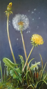 bloemen en planten