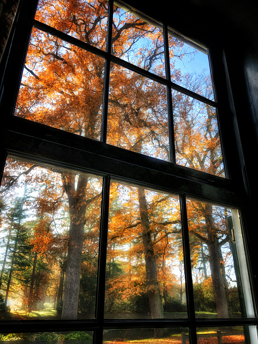 Autumn Through The Window
