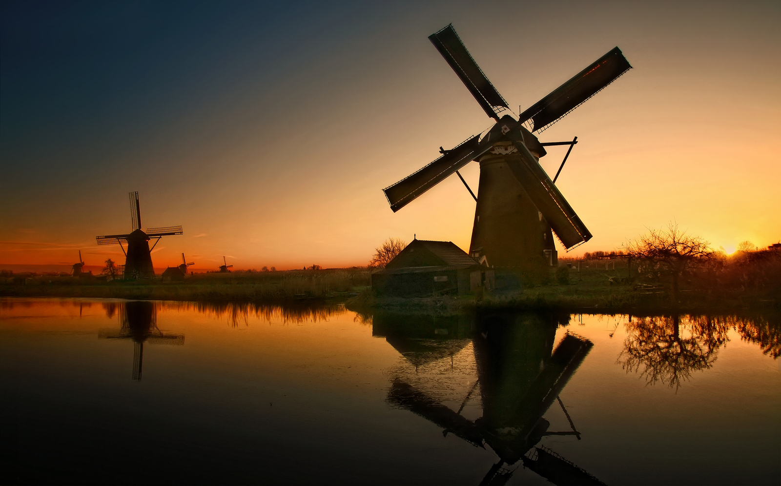 Windmills at the Evening