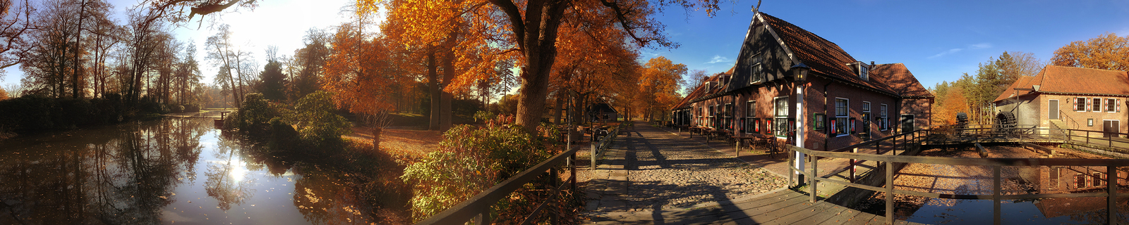Warm Colors of Autumn