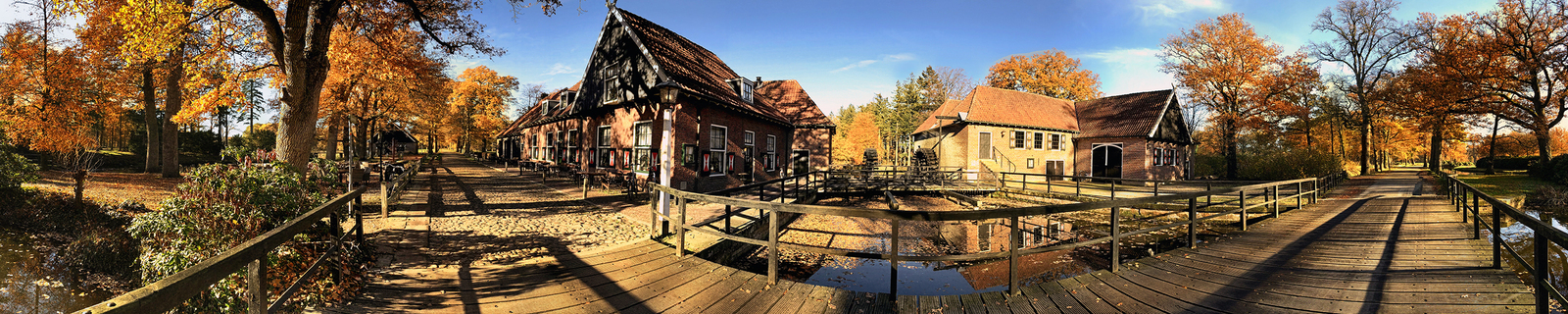 Sunny Autumn. Singraven Estate