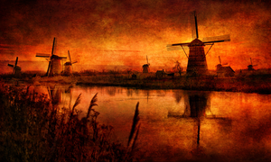 The Netherlands. Beautiful country!