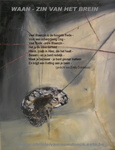 project 'waan/zin van het brein'
