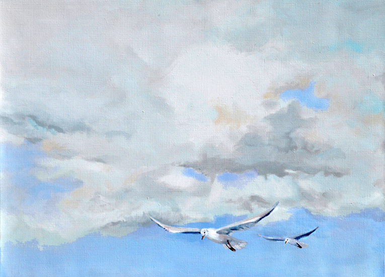 Zachte lucht met meeuwen
