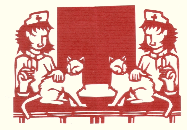 46 Bij de dierenarts