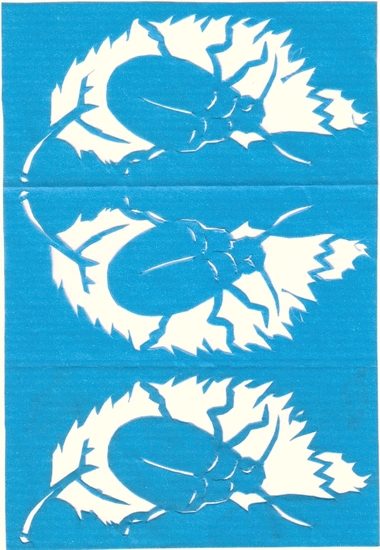 20 Blauw muntgoudhaantje