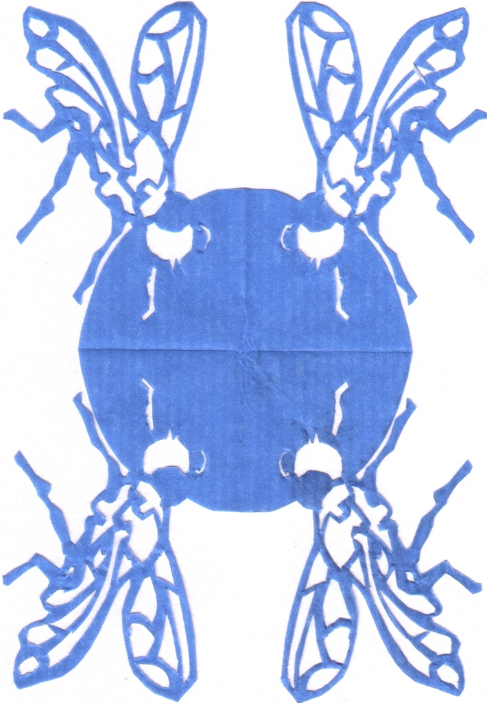 36 Vliegen
