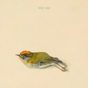 Schilderijen die een relatie met vogels hebben. Het kan een werk zijn van een vogel, maar het kan ook gaan om een nestje, veren of eieren.
