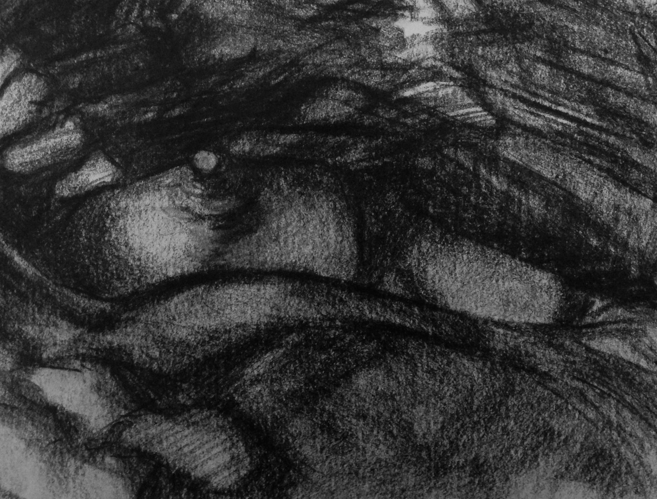 LichaamsLandschap XVII