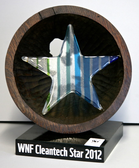 Award WNF Cleantech Star 2012