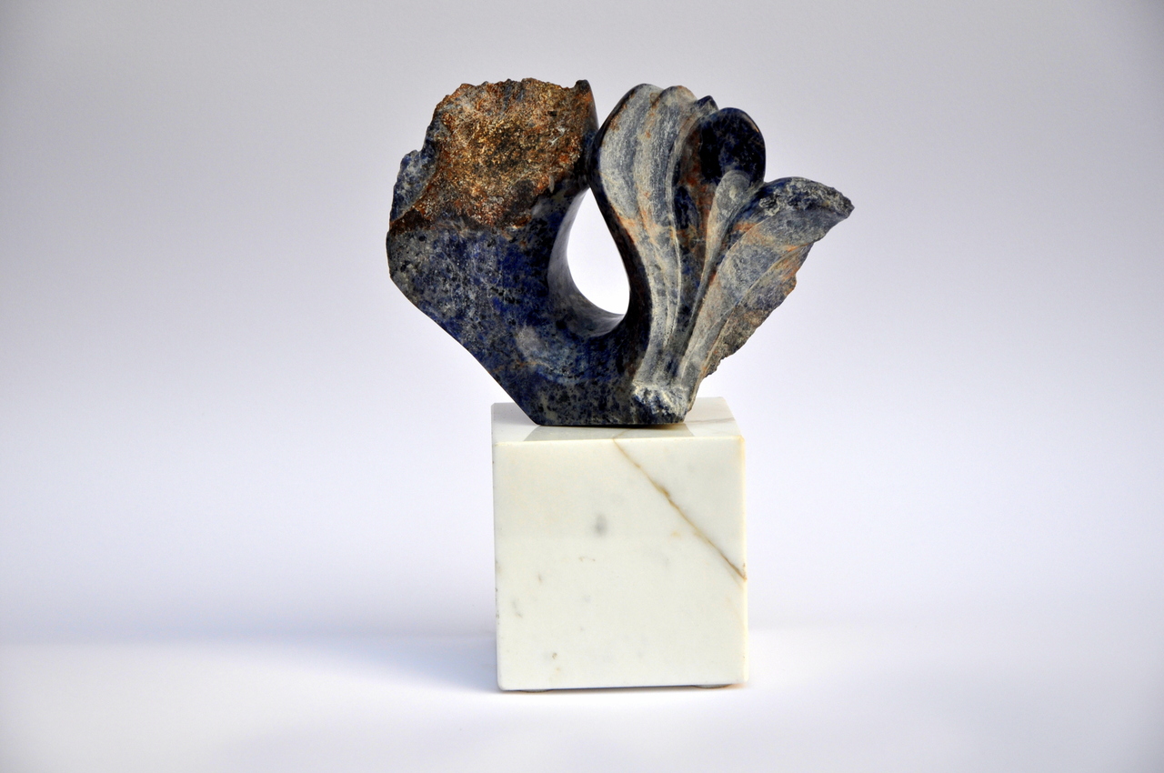 Award 'Politicus van het Jaar' 2013