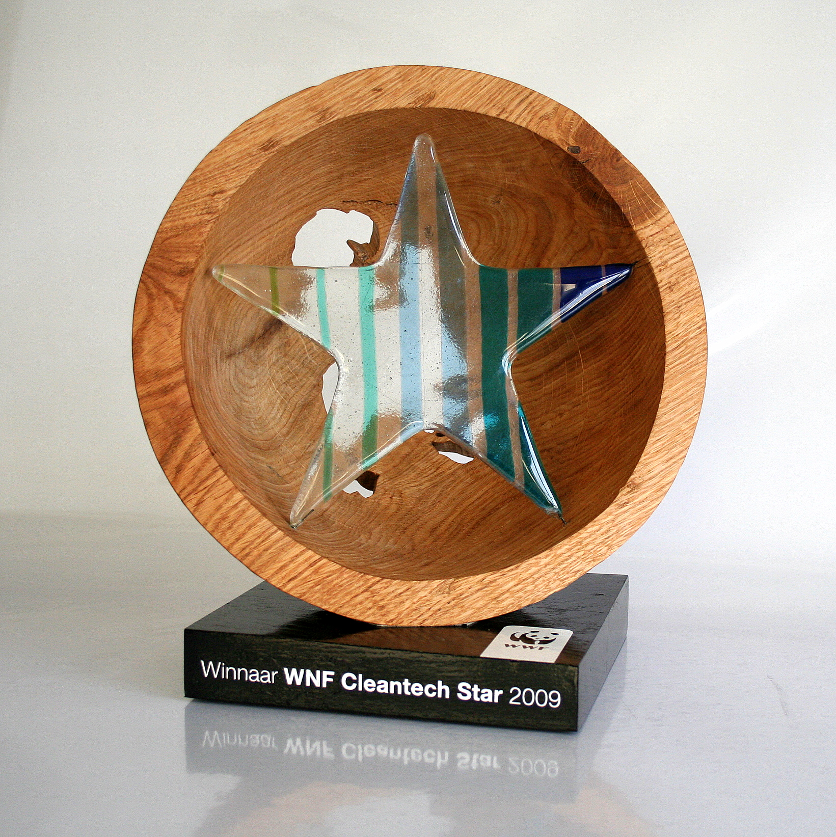 WNF Cleantech Star 2009