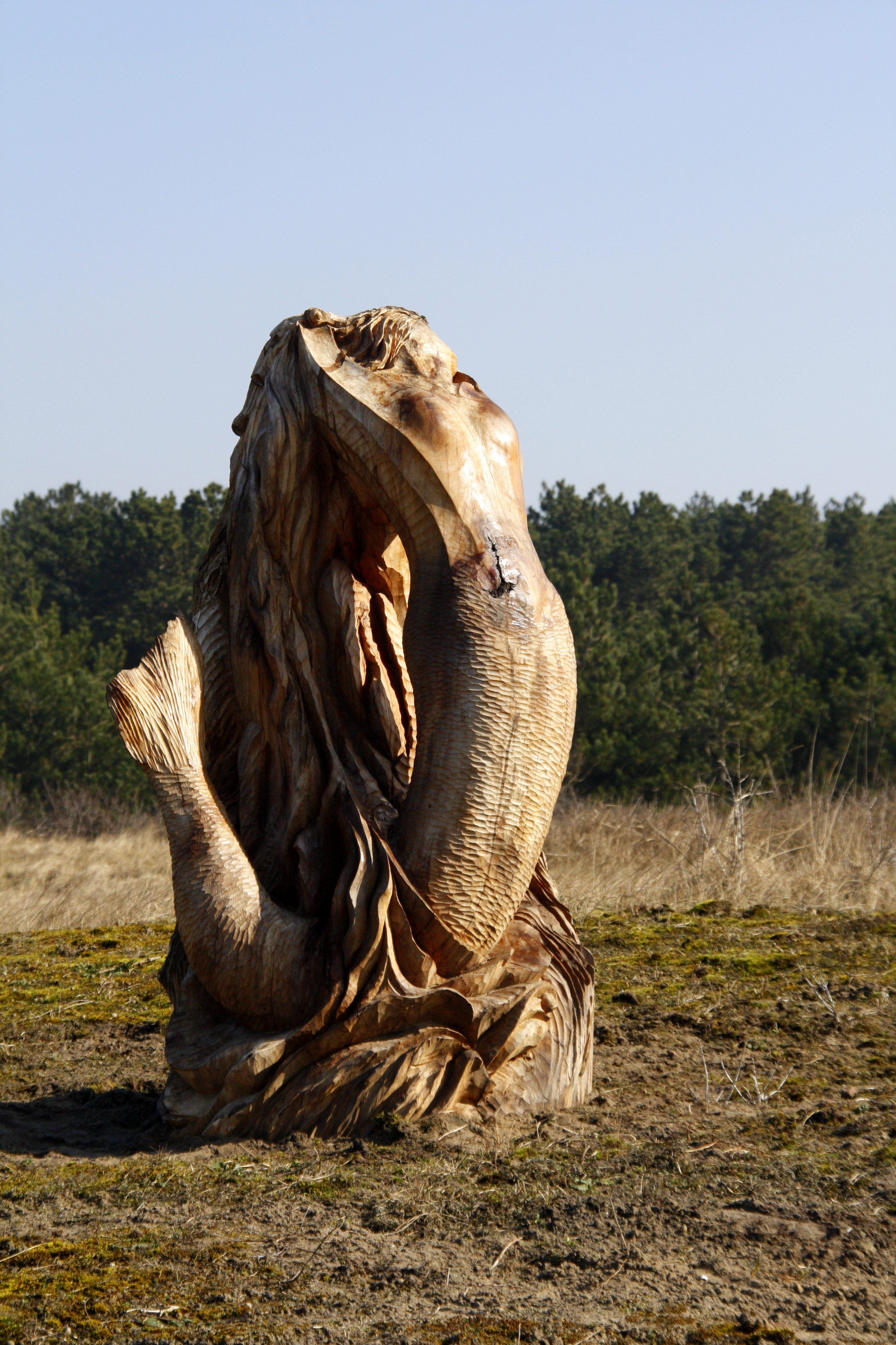 Reïncarnation of the Mermaid
