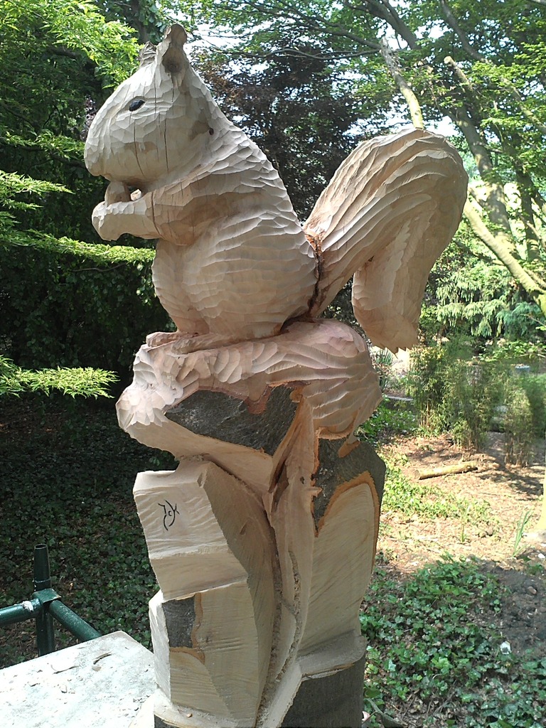 Eekhoorn