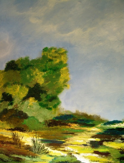Nature / Hoge Veluwe.