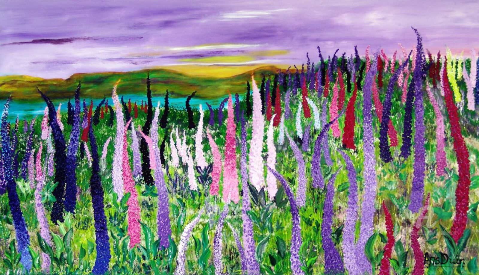 Fields with lupines