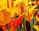Behalve de fascinatie voor de bloemen spreken de verschillende vormen en structuren van iedere afzonderlijke bloem mij aan. De bloemen zijn laag over laag met acrylverf geschilderd. Ze zijn realistisch maar tegelijkertijd gestileerd vormgegeven. Door de vele kleurnuances, de helderheid en het hoge contrast heb ik de lichtwerking in de schilderijen versterkt. Zo lijkt het net of er een lichtje achter brandt.