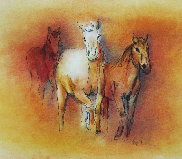 paarden