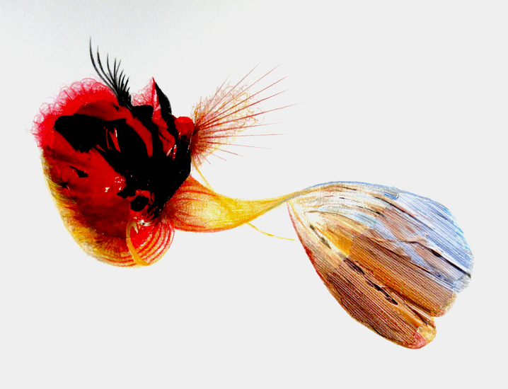 Featherfish