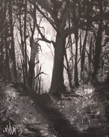 Mysterious wood