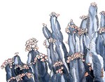 Planten met bloemen of enkel alleen bloemen geschilderd op basis van realiteit of op basis van fantasie