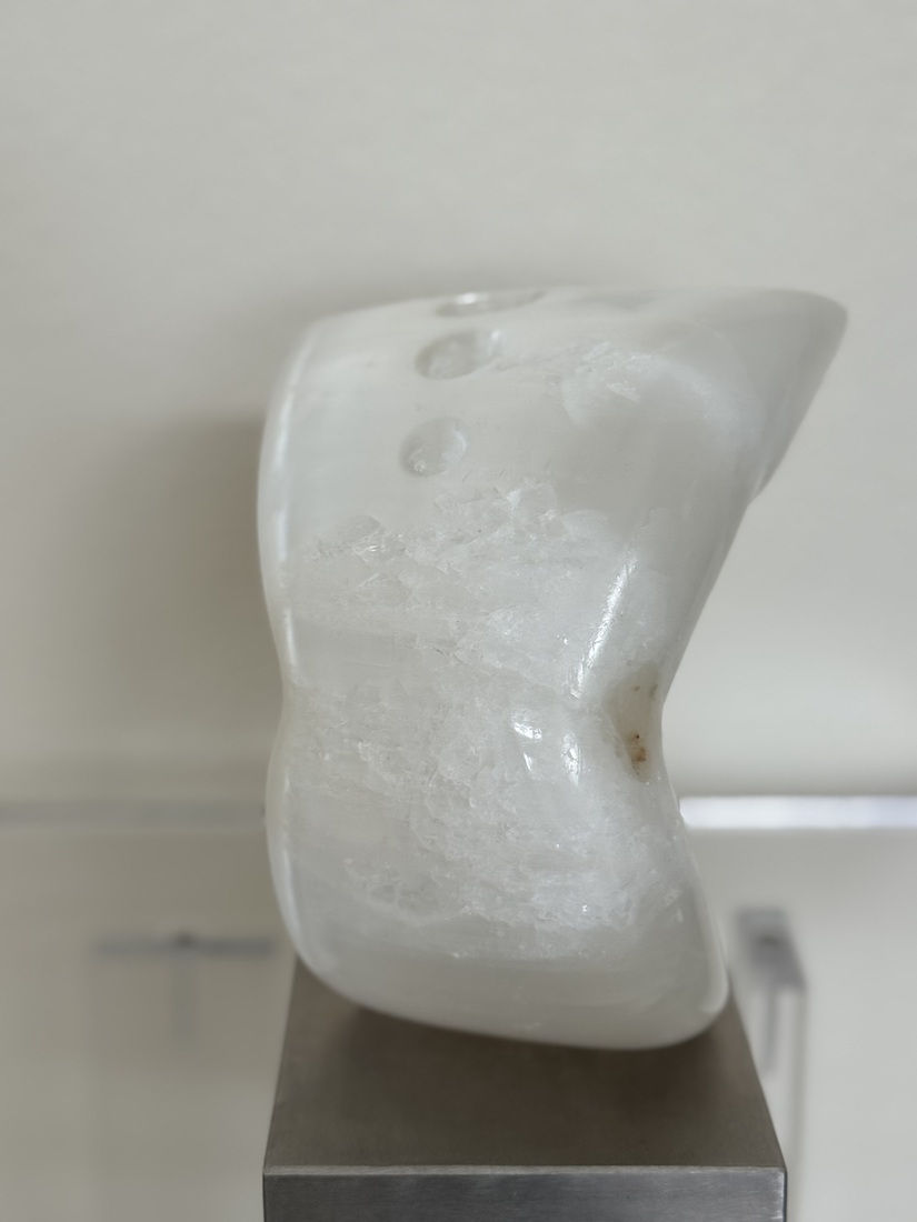 mannen torso