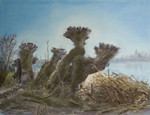 Hier staan al mijn tekeningen en schilderijen van landschappen, zeegezichten en water.