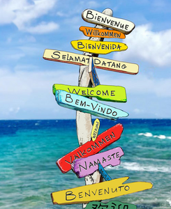 Drijfhout is mooi, je kunt er goed op schilderen, ik geef er workshops mee en het heeft echt een Caribische sfeer, elk stuk heeft een eigen vorm gecreëerd door de zee en het aanspoelen op het strand.