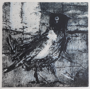 Verschillende vlakdruktechnieken. Zoals aluminium litho en papierlitho.