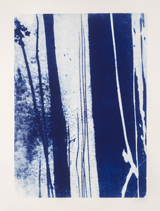 2020
Grafiek en tekeningen met de boom als inspiratiebron. Bomen, takken; Ik speel met de vormen. Wat vertellen ze mij? Vormen vloeien in elkaar over. Dunne fragiele takken worden uitvergroot weer stevige stammen. Uit vorm en restvorm ontstaan nieuwe groeivormen. Het groeit, het stroomt, het leeft.
Stevig in de aarde, opgaand naar de lucht.
Kracht, kwetsbaarheid en vergankelijkheid.
Technieken: Monoprint, ets, tekening of gemengd. Unieke werken of beperkte oplage (ets)