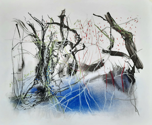 Tekeningen in inkt, pastel en potlood