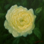 Bloemen