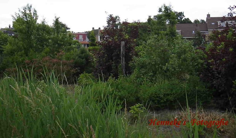 Langs 'De Dijk' - 18