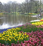 Digitale fotosessie van een bezoek aan de Keukenhof op 22 April 2005.