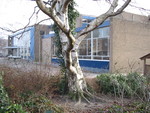 De oude Montesorischool op de Lange Voort.
