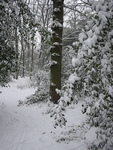 Het bos van Wijckerslooth is voor iedereen toegankelijk. Er staat ook een oorlogsmonument in het bos.
