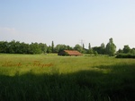 Het laatste stuk polder op de grens Oegstgeest, Warmond en Leiden. Op dit moment is er een stuk van de Overveerpolder in gebruik genomen voor Sportvelden.