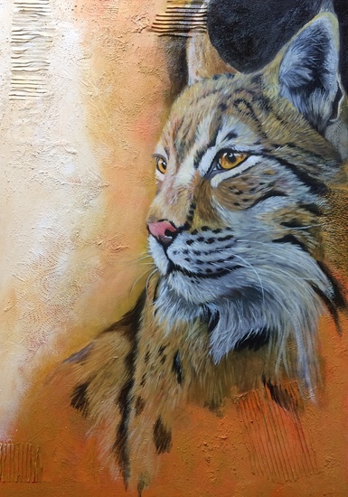 Euraziatische lynx