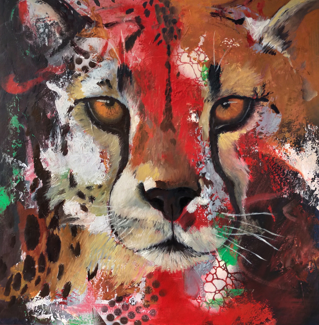 Cheetah