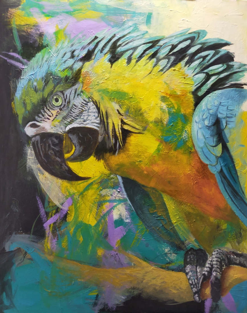 Papegaai ( parrot)