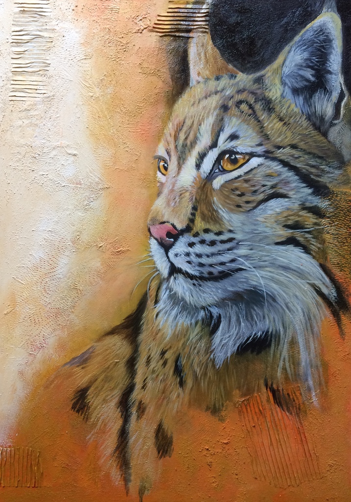 Euraziatische lynx