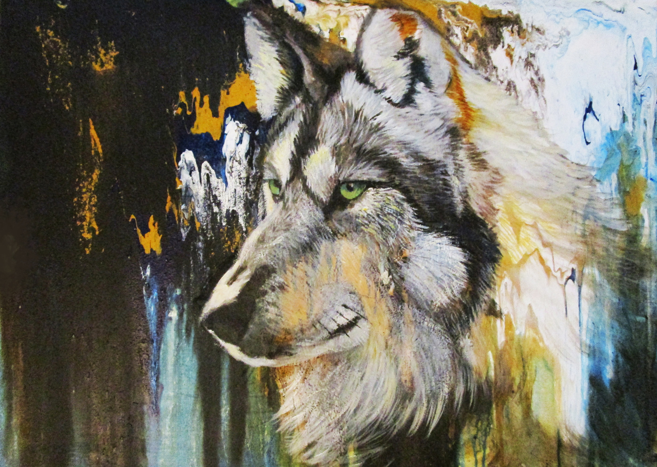 Euraziatische wolf